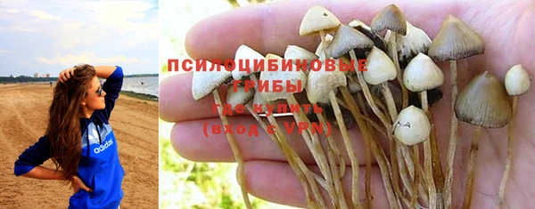 мяу мяу мука Осинники