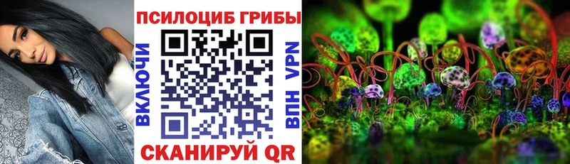 купить наркотики цена  Красноармейск  Галлюциногенные грибы GOLDEN TEACHER 