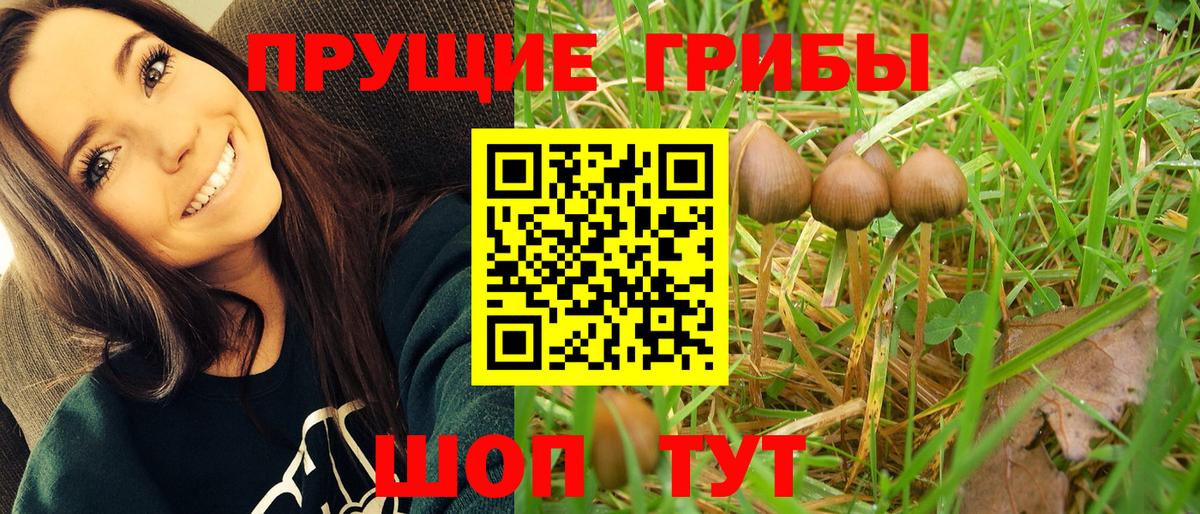 Красноармейск  Псилоцибиновые грибы Cubensis  Галлюциногенные грибы ЛСД  Вход с VPN 