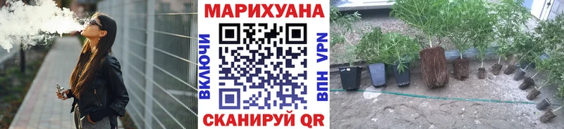 Бошки Шишки сатива  ссылка на мегу маркетплейс  Красноармейск 